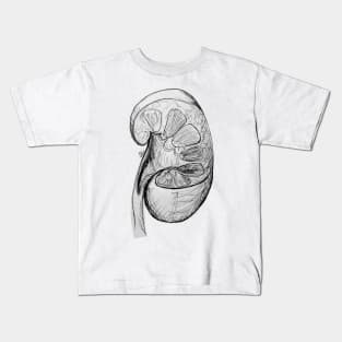 Pen and Ink Kidney Illustration/Sketch Kids T-Shirt